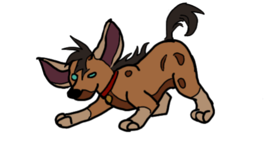 Puppy 