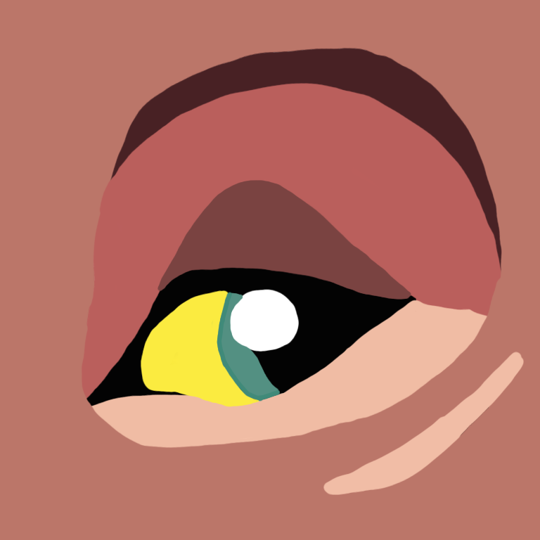 Leif's eye