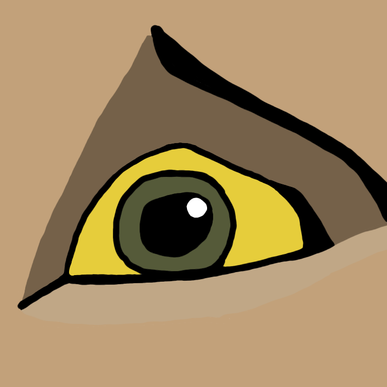 Sofa's eye