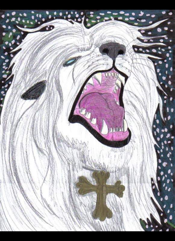 Magnus The Great White Lion