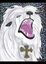 Magnus The Great White Lion