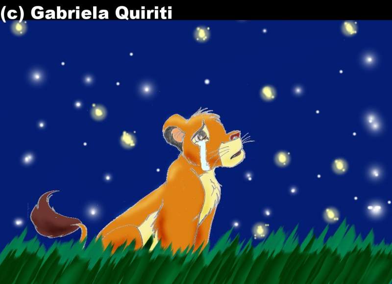 simba and the stars