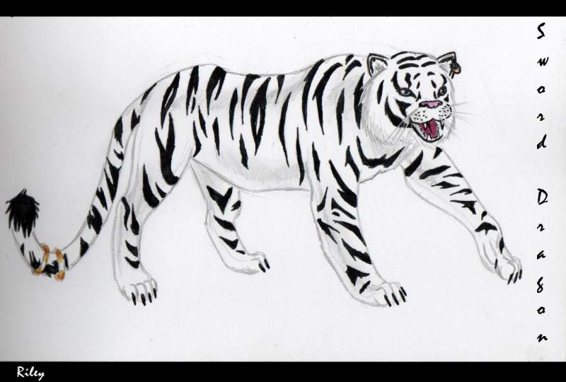 White Tiger Riley