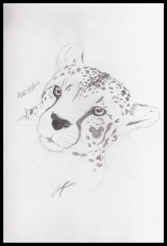 Realistic Mikki (c) Draco