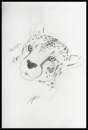 Realistic Mikki (c) Draco