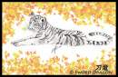 Tiger cub Relaxing