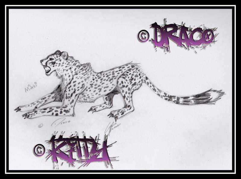 Mikki Gift art for Draco