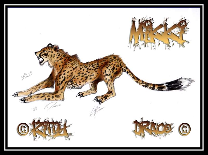 Coloured Mikki Gift for Draco
