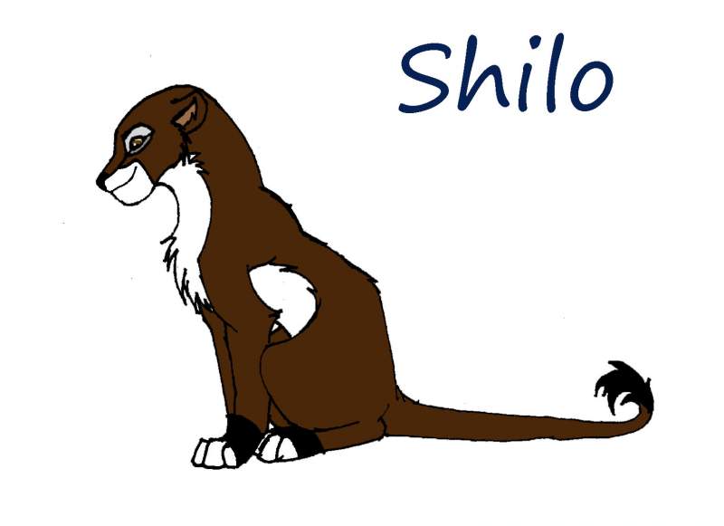 Shilo (c) shadow.wolf