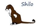 Shilo (c) shadow.wolf