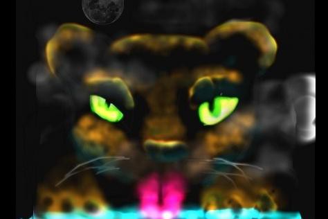eyes 