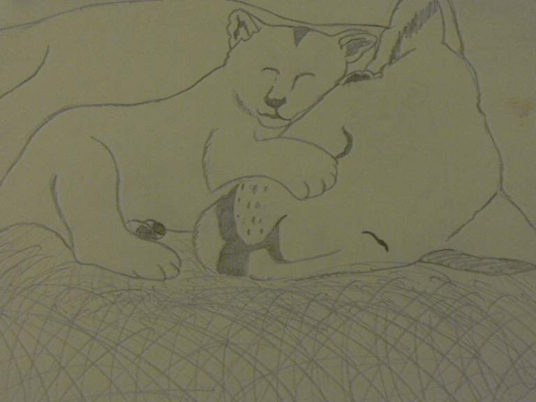 lionne avec son bÃ©bÃ©