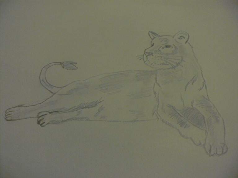 LIONNE