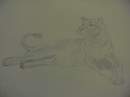 LIONNE
