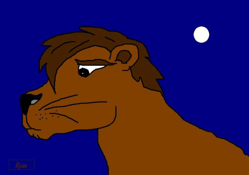 lionceau triste
