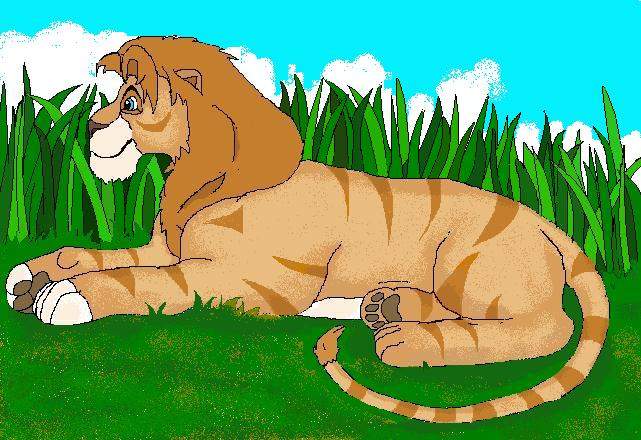 Chatran the liger