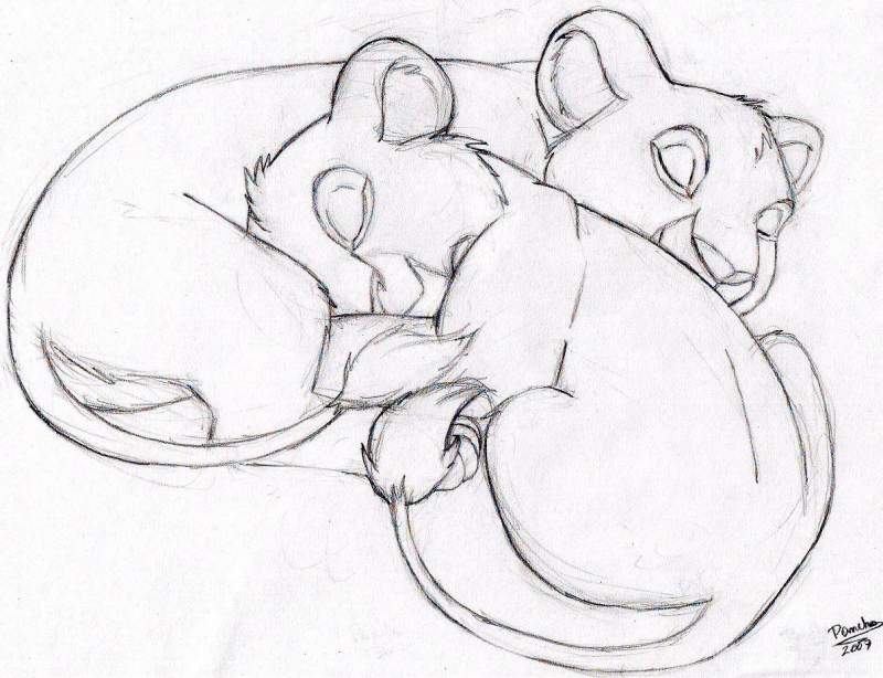 Taka and Mufasa