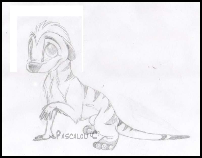 Timon?