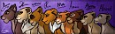 Lioness Profile 3