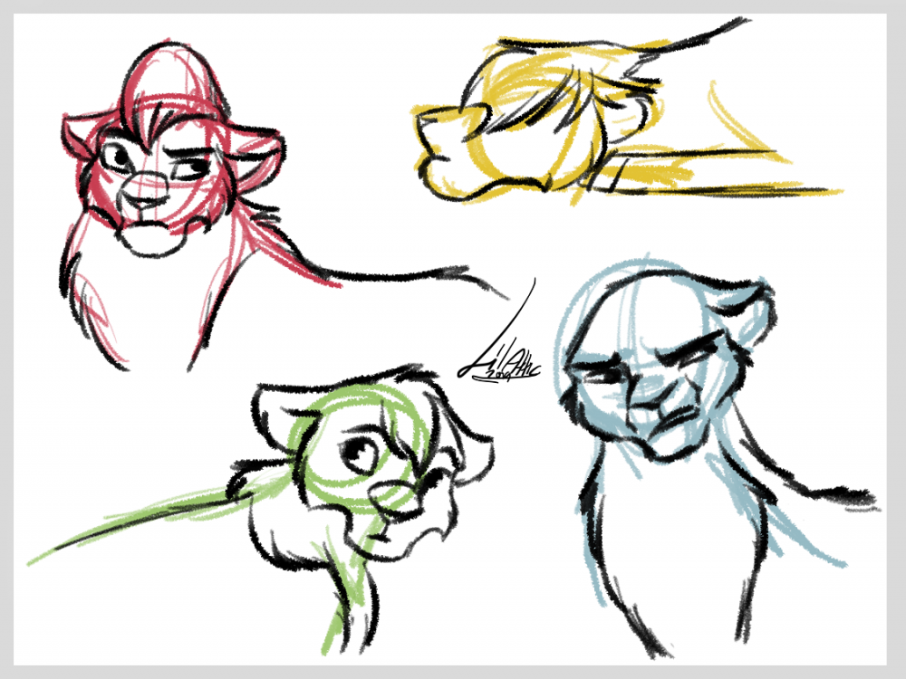 Lion Sketches