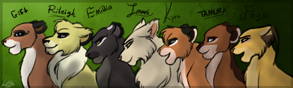 Lioness Profiles 4
