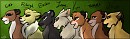 Lioness Profiles 4