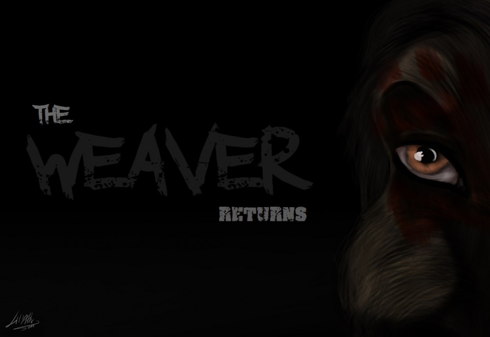 The Weaver Returns