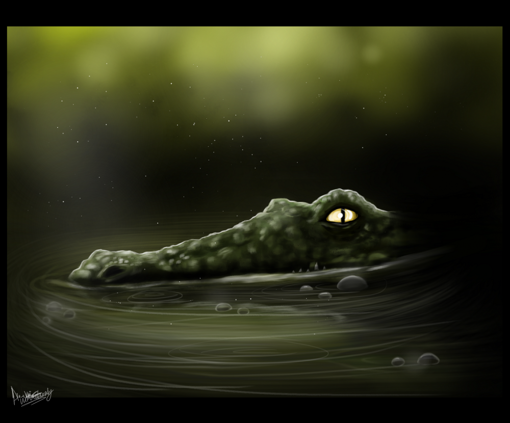 Never Smile At A Crocodile