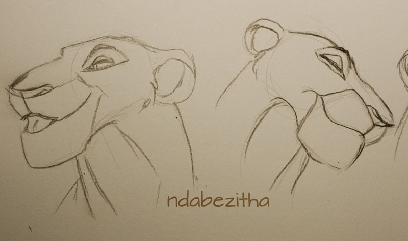Sarabi practice sketches