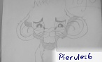 pierules6