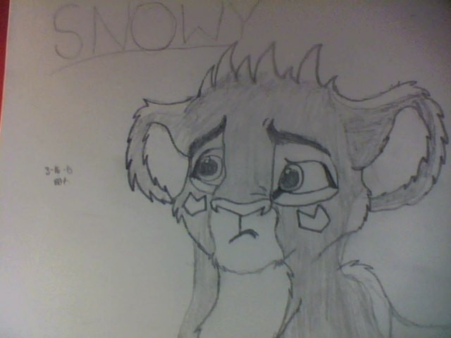 Snowy Is Confuesd: Sketch