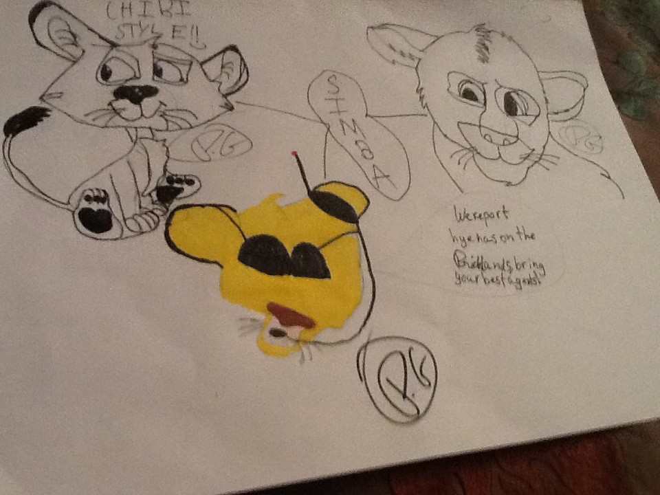 The three types of simba