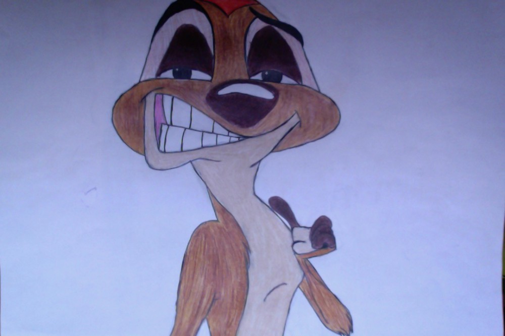 Timon