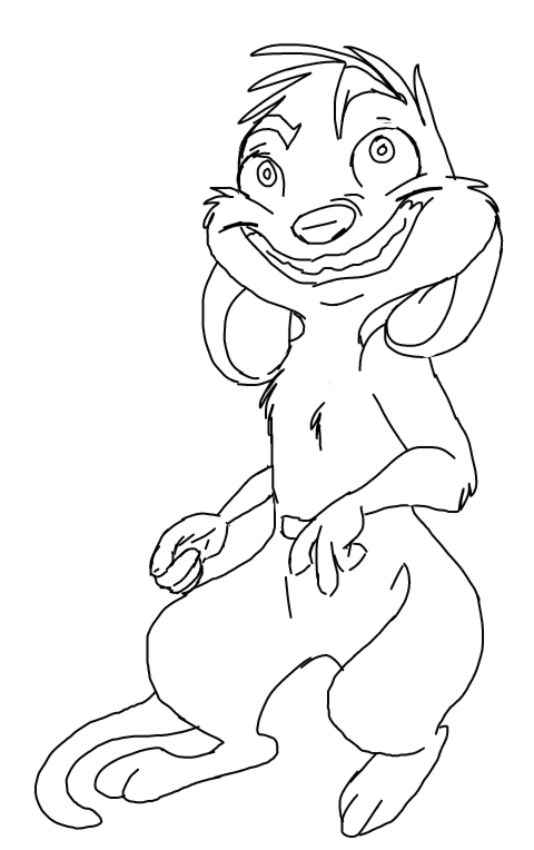 Male Meerkat