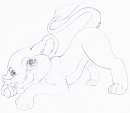 Downward Dog....Lion????