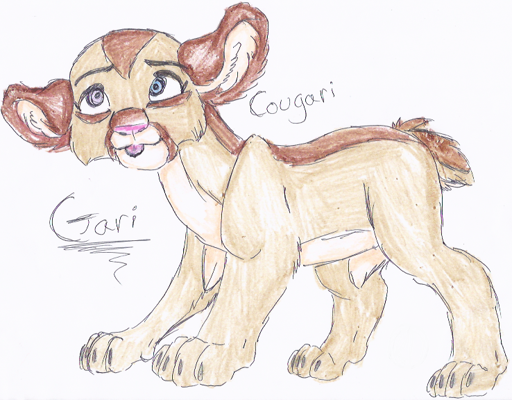 Cougari 2