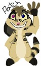 Patches new Charachter