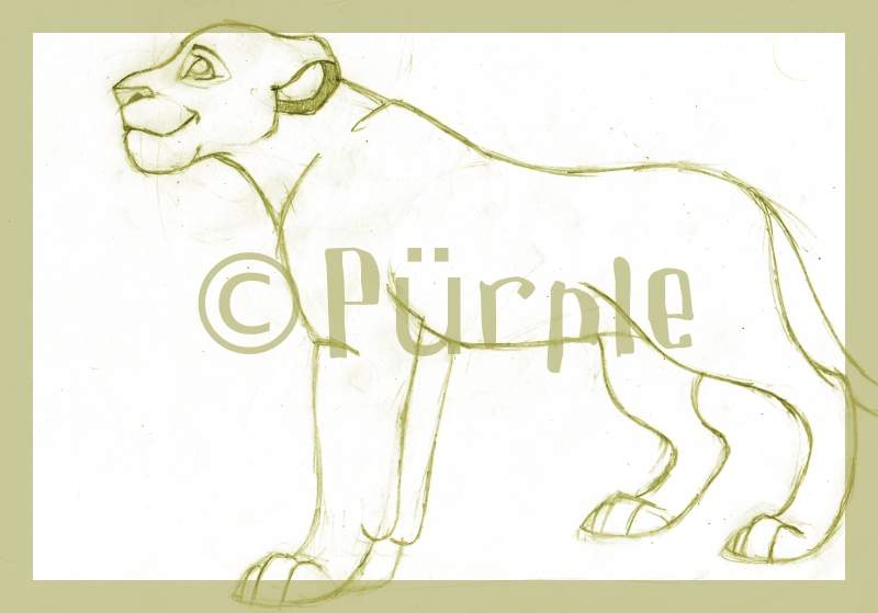 Sketch Sarabi