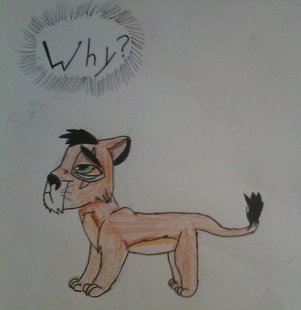 Poor Scar/Taka