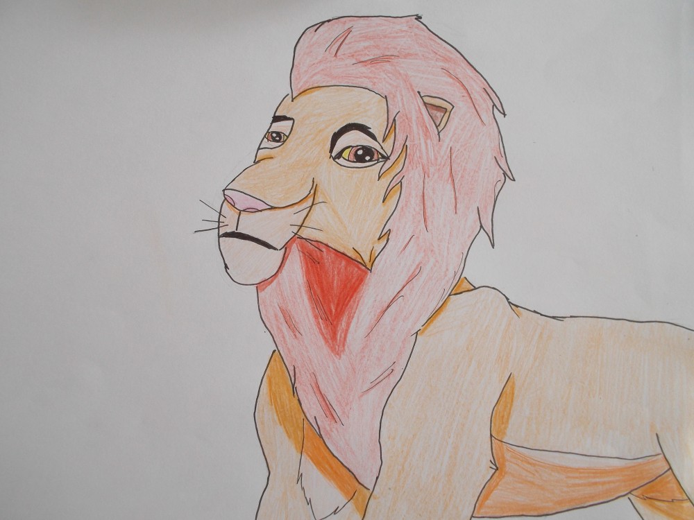 Simba réveur