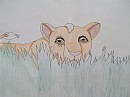 Nafasi en chasse