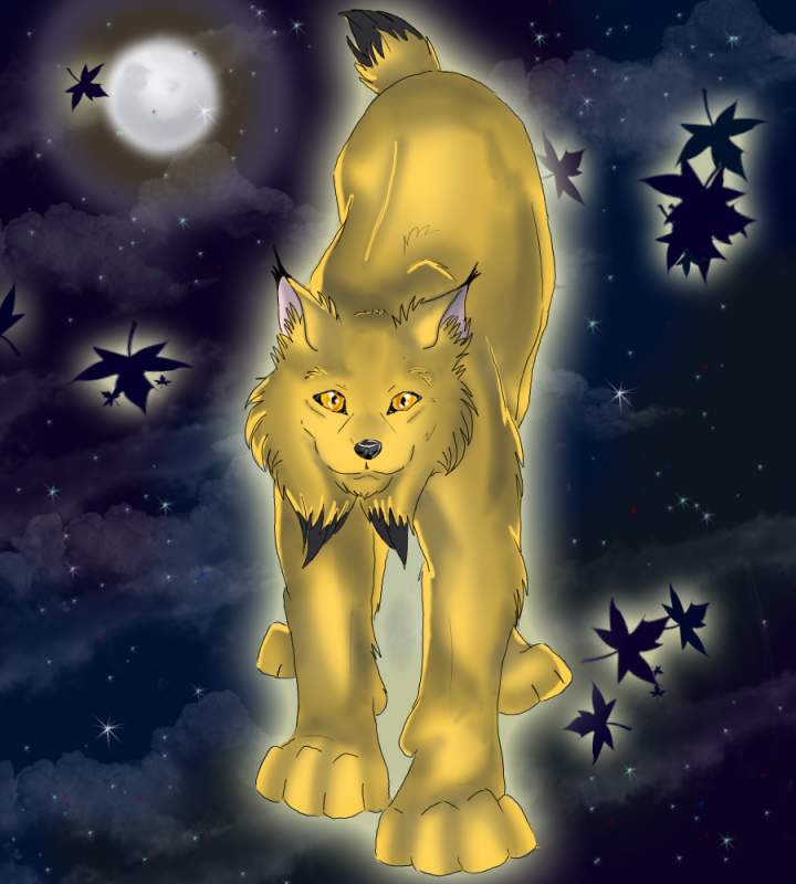 collored lynx