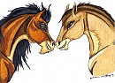 Scar x Zira Horses --TAKE 2--