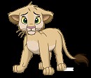 Mheetu