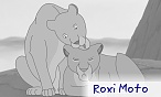 Roxi Moto