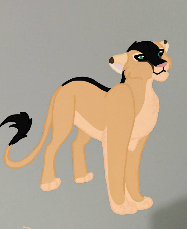 My OC 