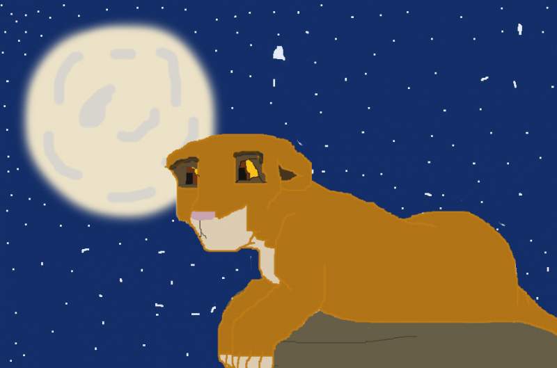 Kiara in the moon light