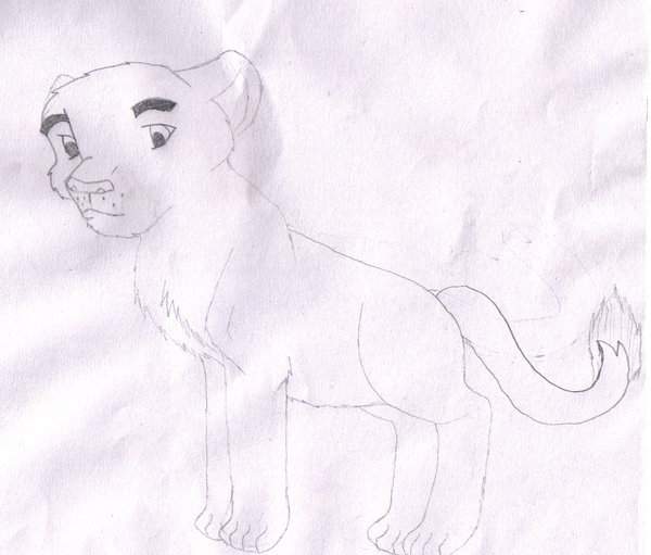Lion