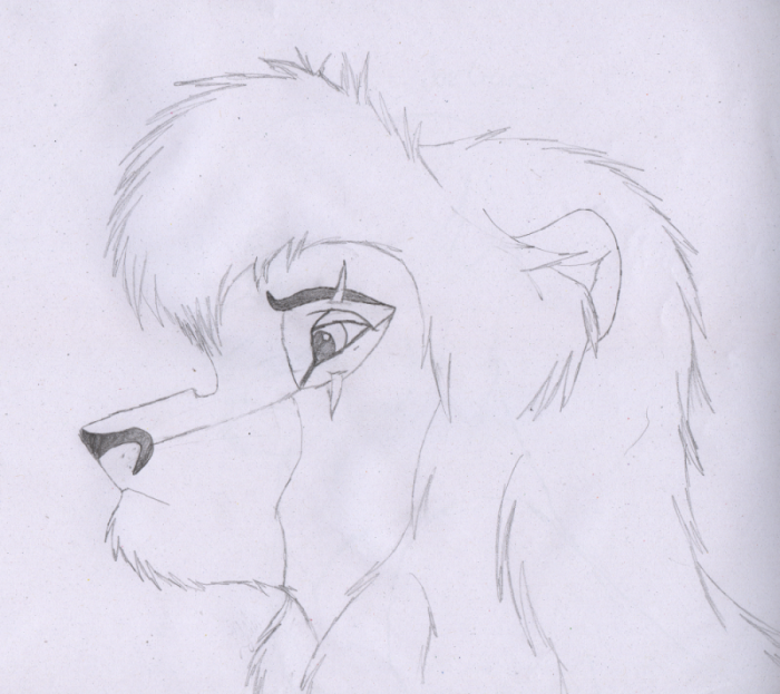 Kovu