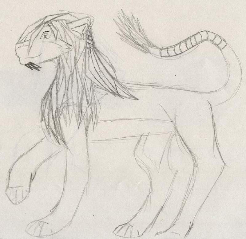 FireCracker as a lion